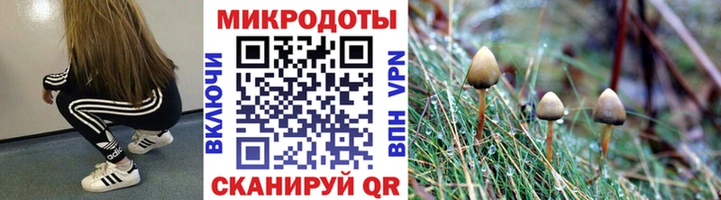 Галлюциногенные грибы MAGIC MUSHROOMS Стерлитамак